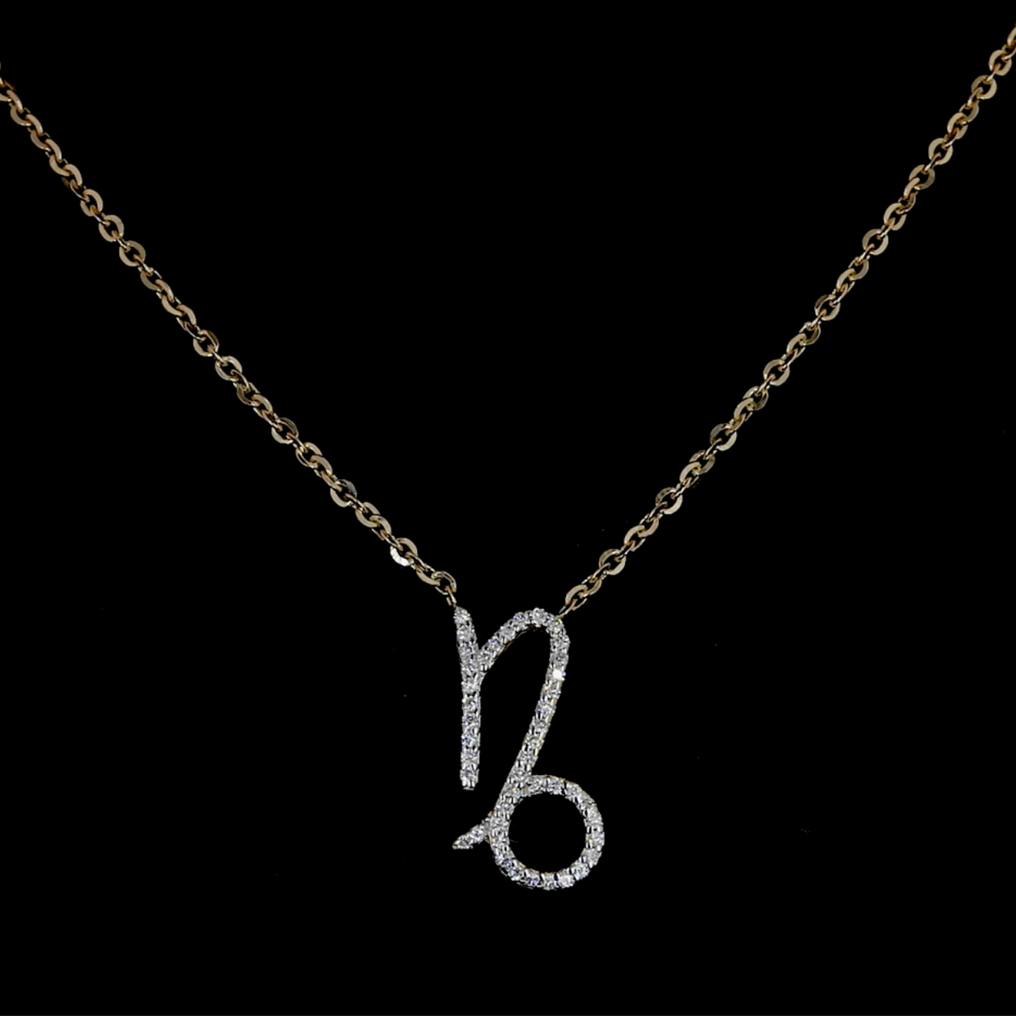 Capricorn Zodiac Necklace