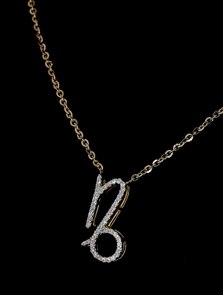 Capricorn Zodiac Necklace